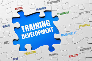 Qualifications. puzzle training 7 development